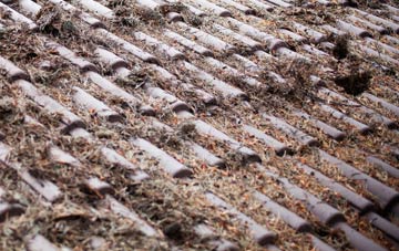 Ridleywood roof cleaning companies