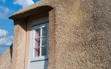 Ridleywood thatch roof disadvantages